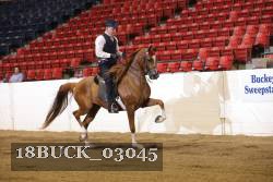 18BUCK_03045 proof