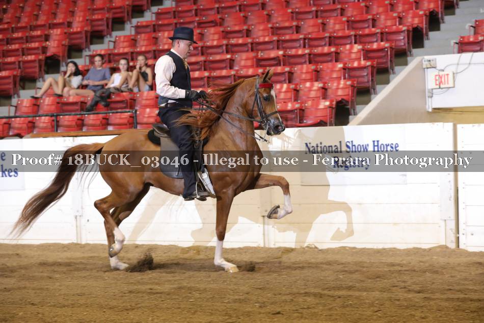 Proof 18BUCK_03046