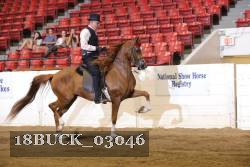 18BUCK_03046 proof