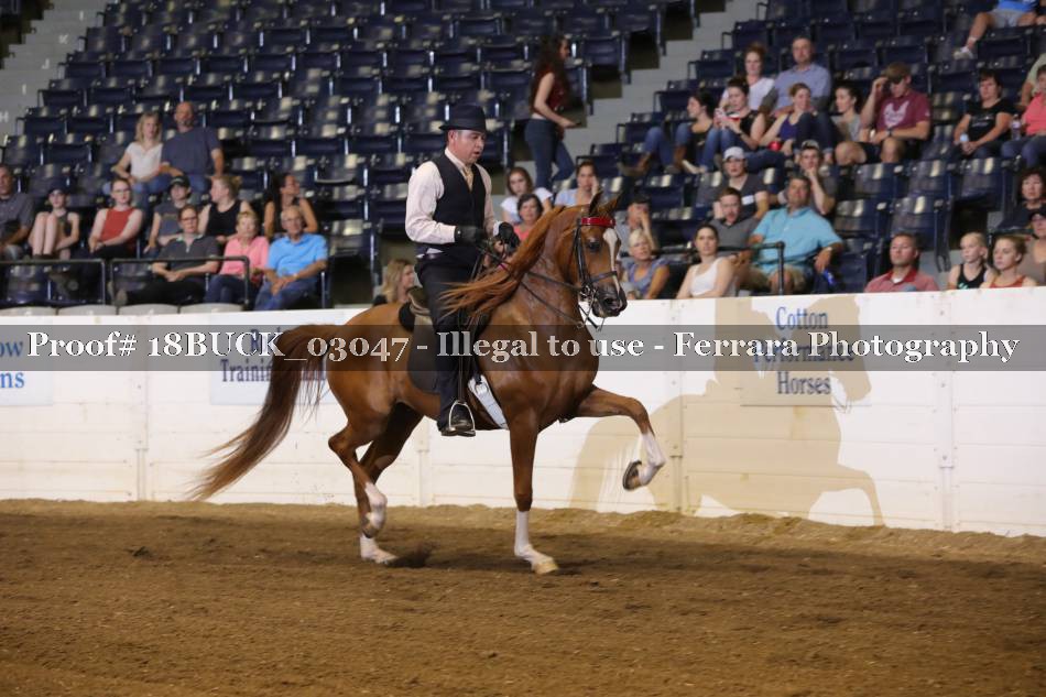 Proof 18BUCK_03047