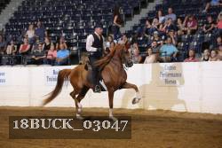 18BUCK_03047 proof