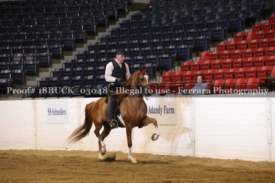 Proof 18BUCK_03048