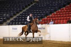 18BUCK_03048 proof