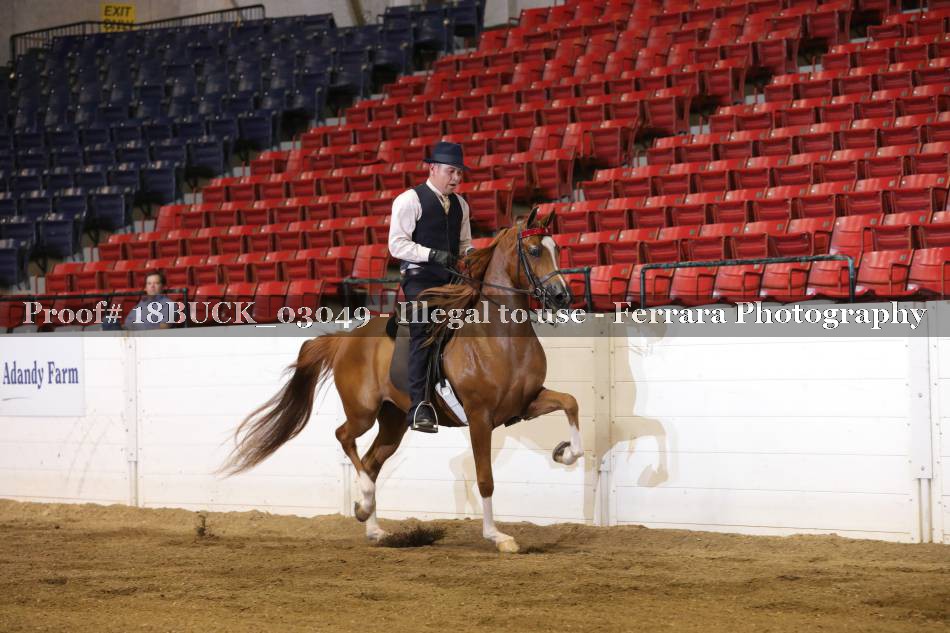 Proof 18BUCK_03049