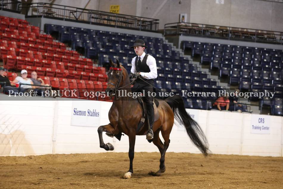Proof 18BUCK_03051