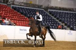 18BUCK_03051 proof