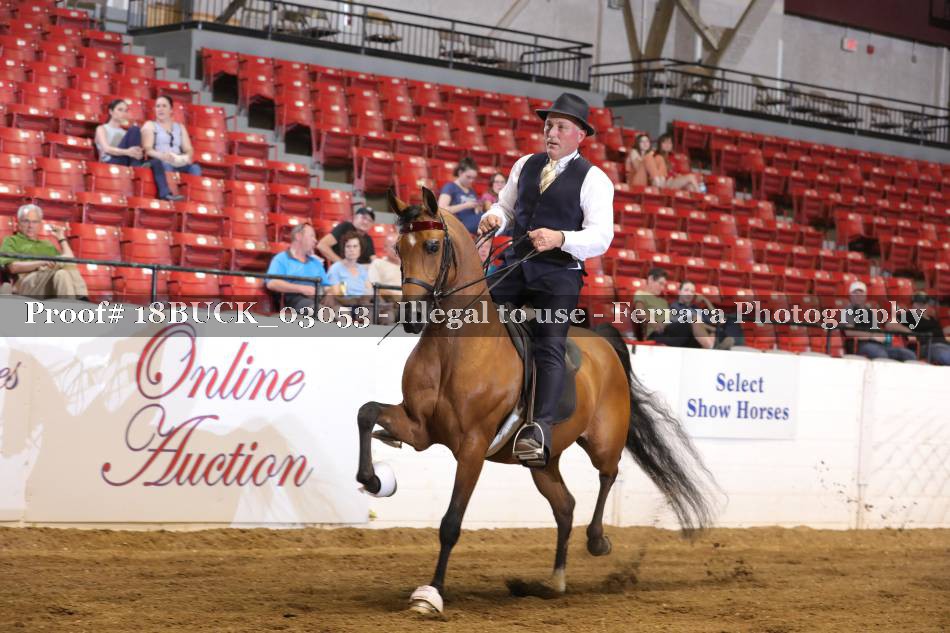 Proof 18BUCK_03053