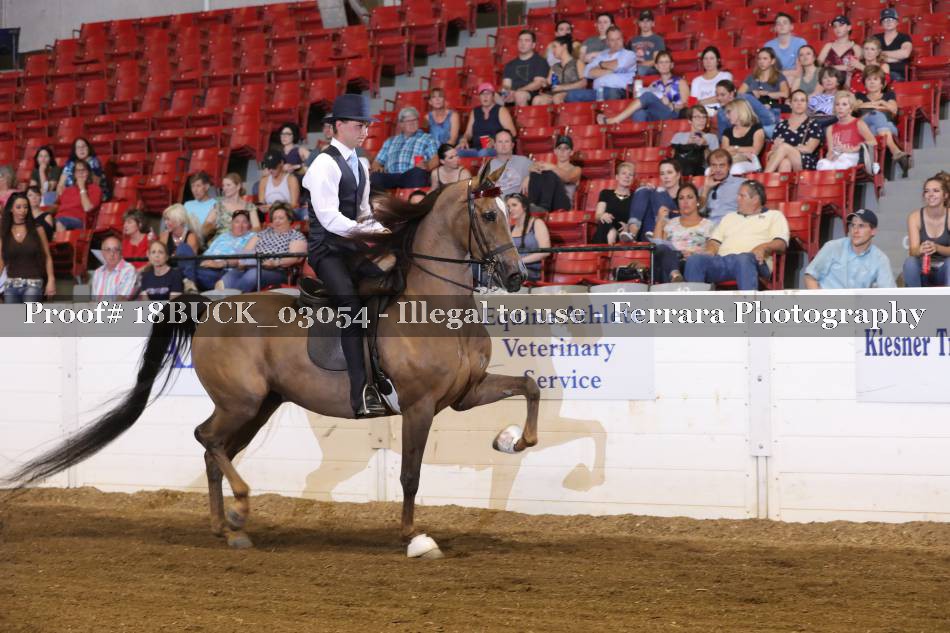 Proof 18BUCK_03054