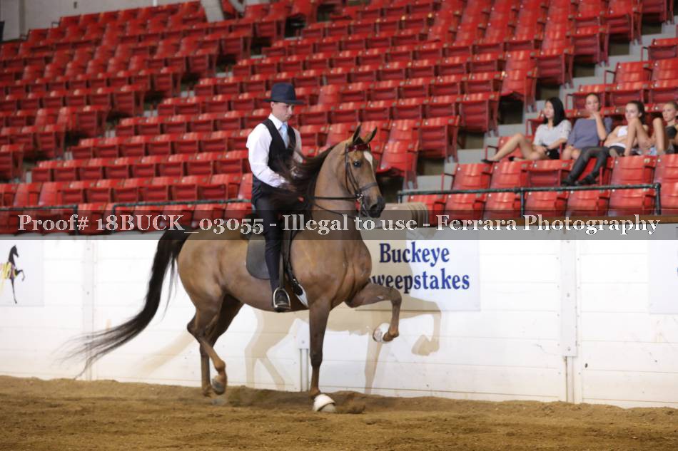 Proof 18BUCK_03055