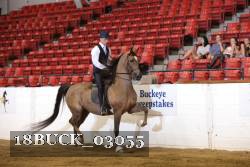 18BUCK_03055 proof