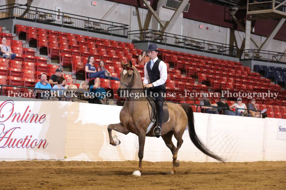 Proof 18BUCK_03056