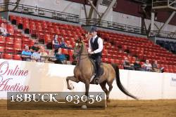 18BUCK_03056 proof
