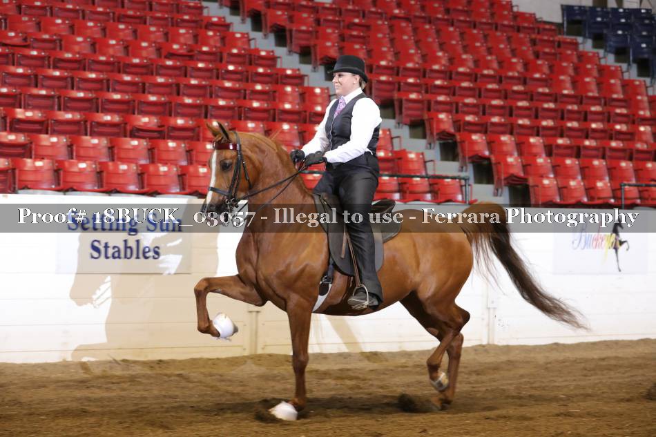 Proof 18BUCK_03057