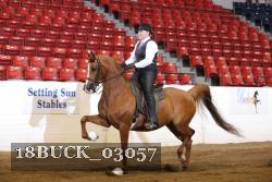 18BUCK_03057 proof