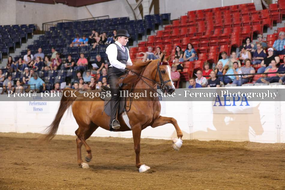 Proof 18BUCK_03058
