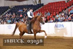18BUCK_03058 proof