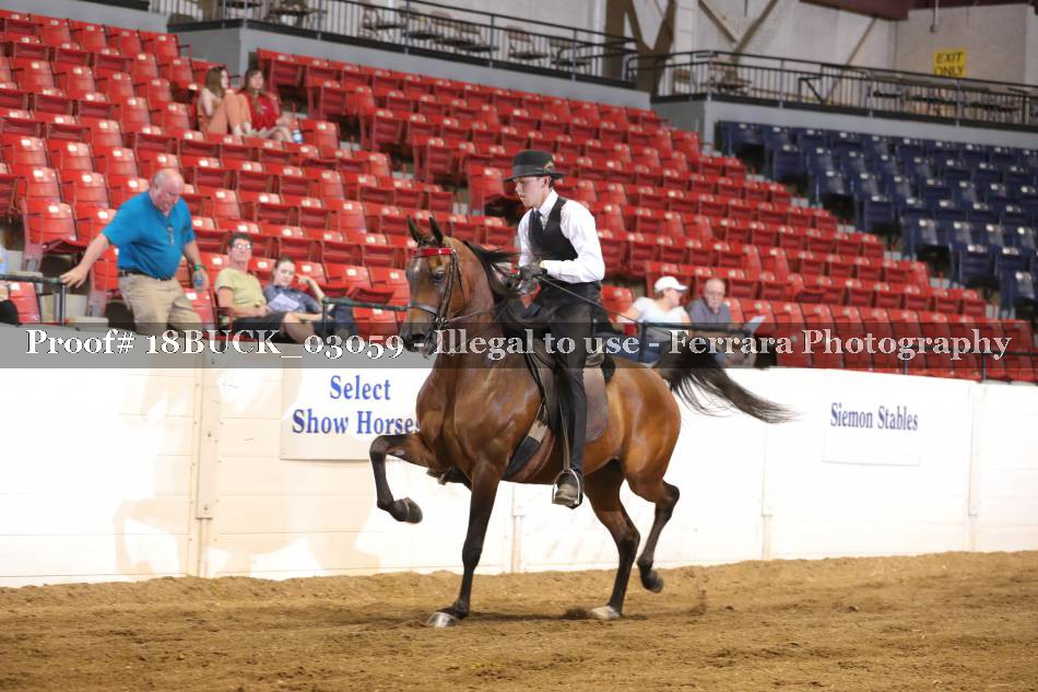 Proof 18BUCK_03059