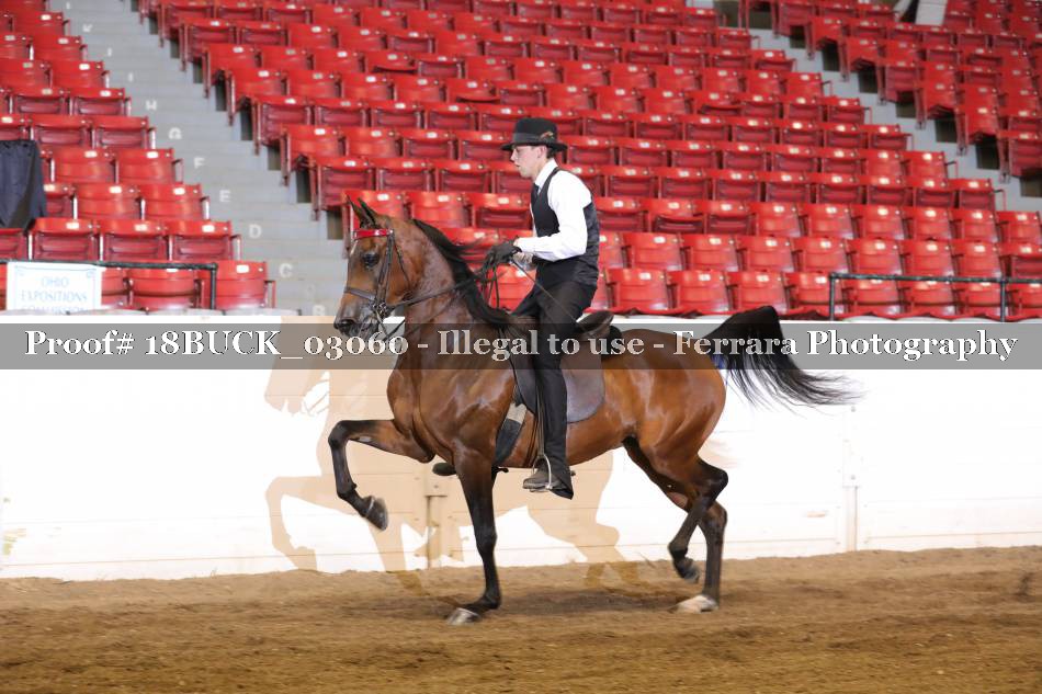 Proof 18BUCK_03060