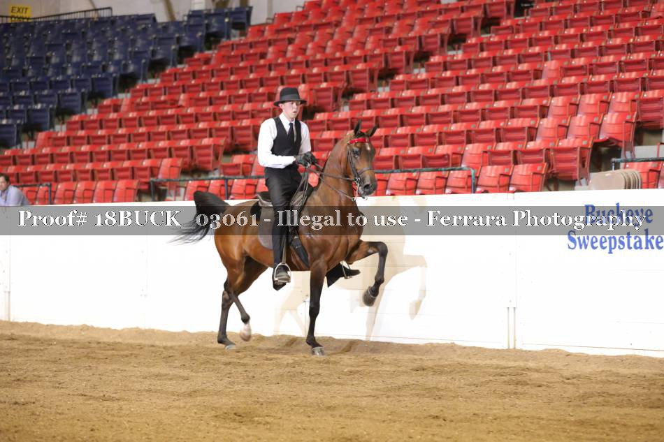 Proof 18BUCK_03061