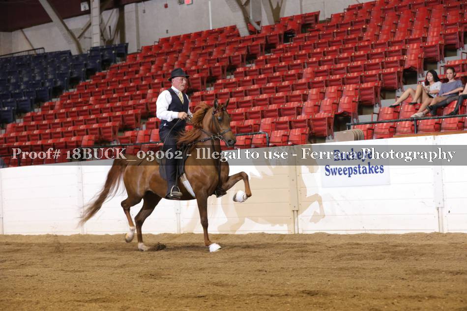 Proof 18BUCK_03062