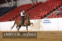18BUCK_03062 proof