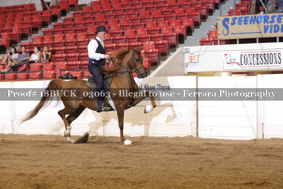 Proof 18BUCK_03063
