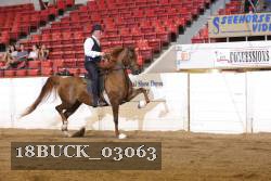 18BUCK_03063 proof