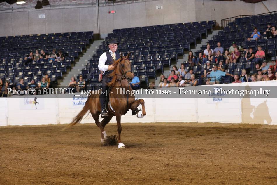 Proof 18BUCK_03064