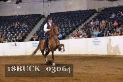 18BUCK_03064 proof