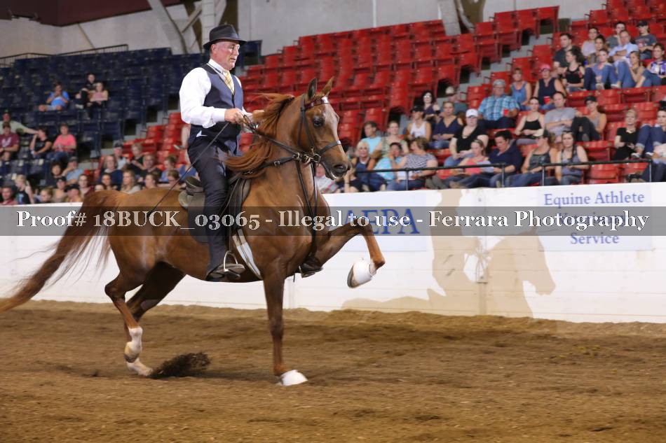 Proof 18BUCK_03065