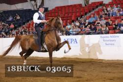 18BUCK_03065 proof