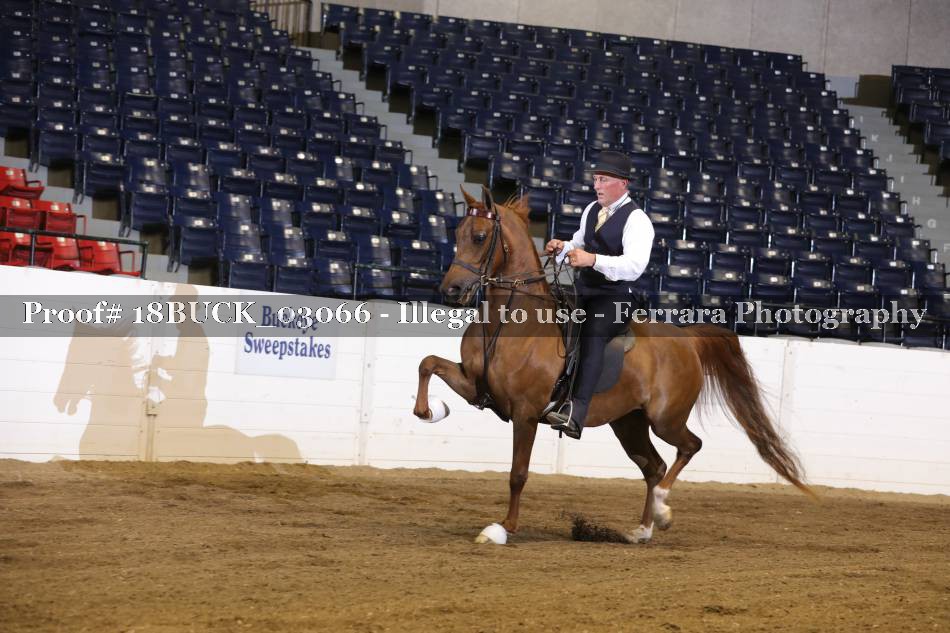Proof 18BUCK_03066