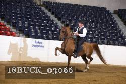 18BUCK_03066 proof
