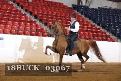 18BUCK_03067 proof