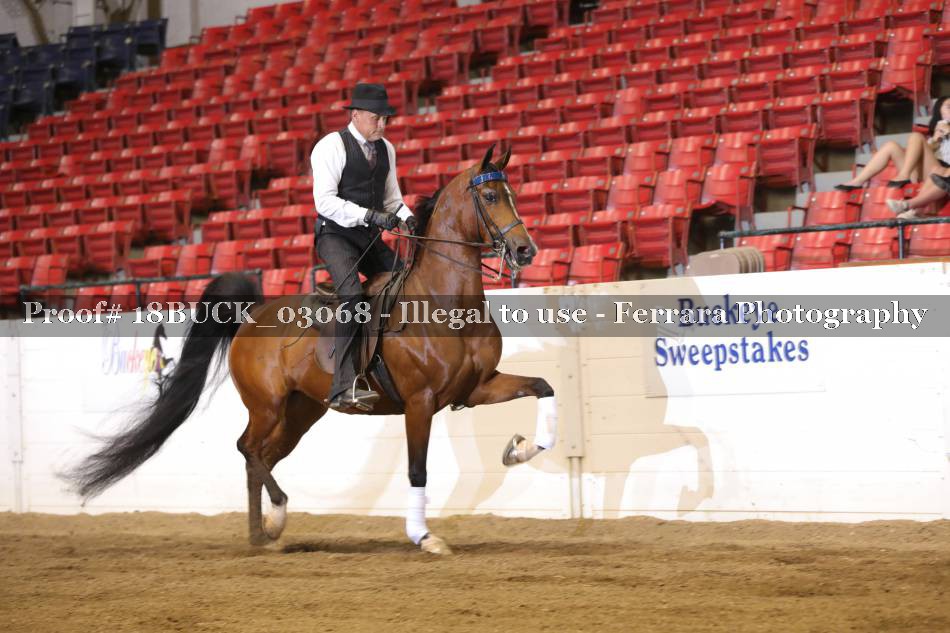 Proof 18BUCK_03068