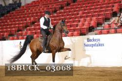 18BUCK_03068 proof