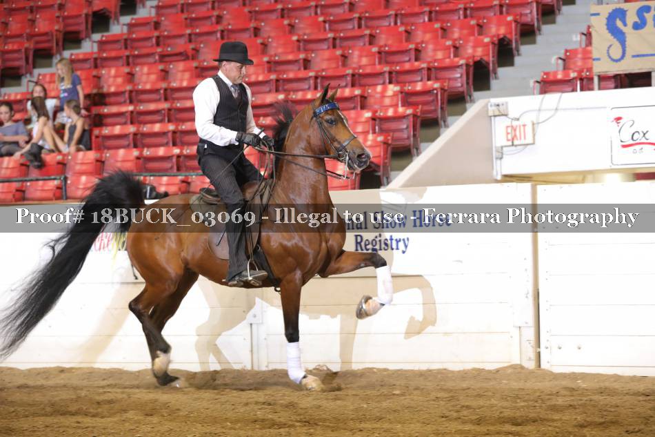 Proof 18BUCK_03069