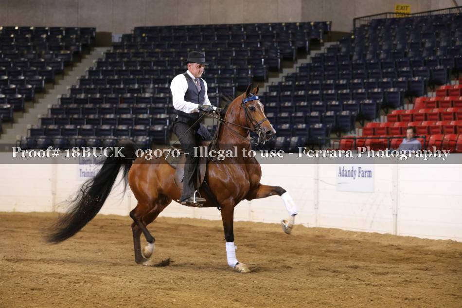 Proof 18BUCK_03070