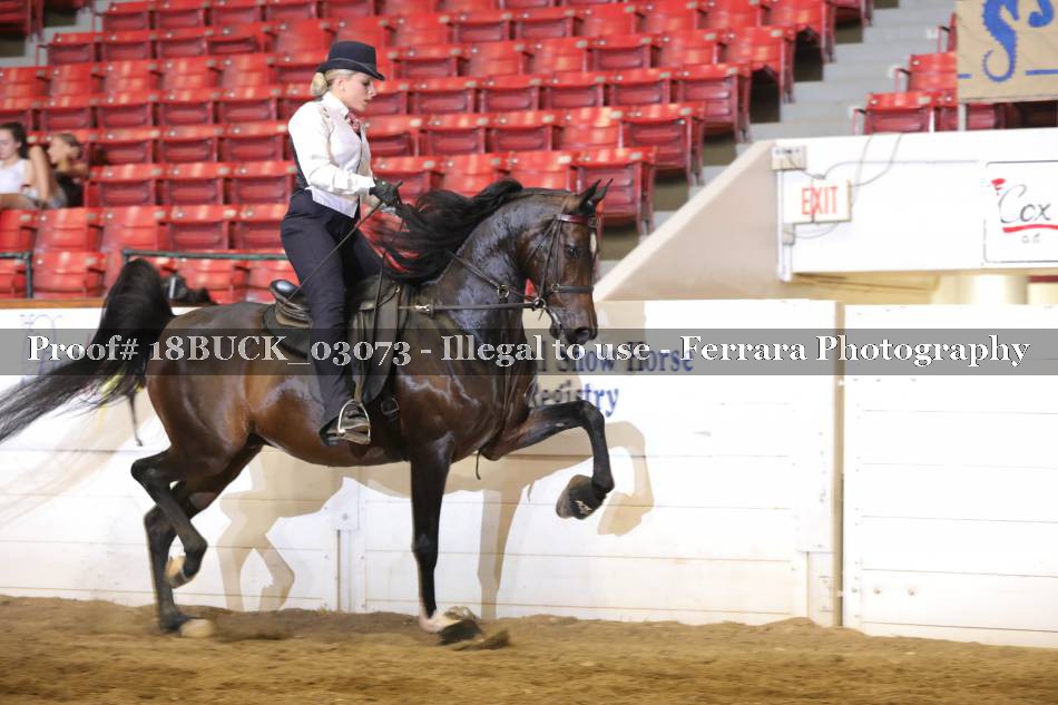 Proof 18BUCK_03073