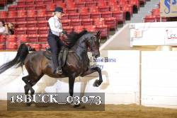 18BUCK_03073 proof