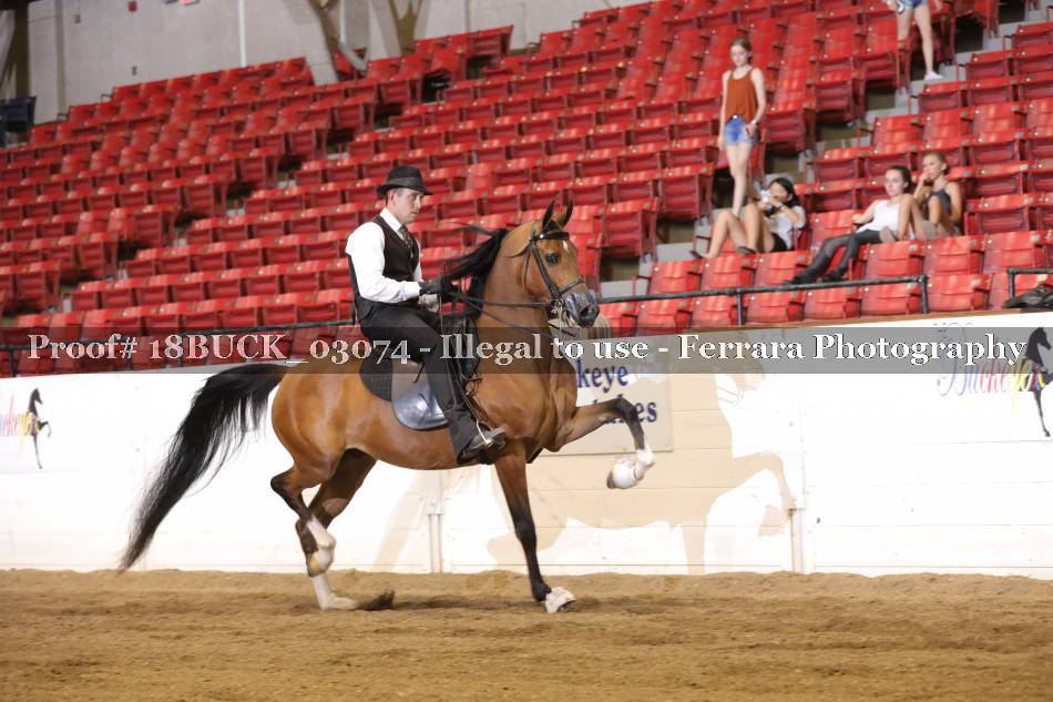 Proof 18BUCK_03074