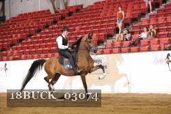 18BUCK_03074 proof