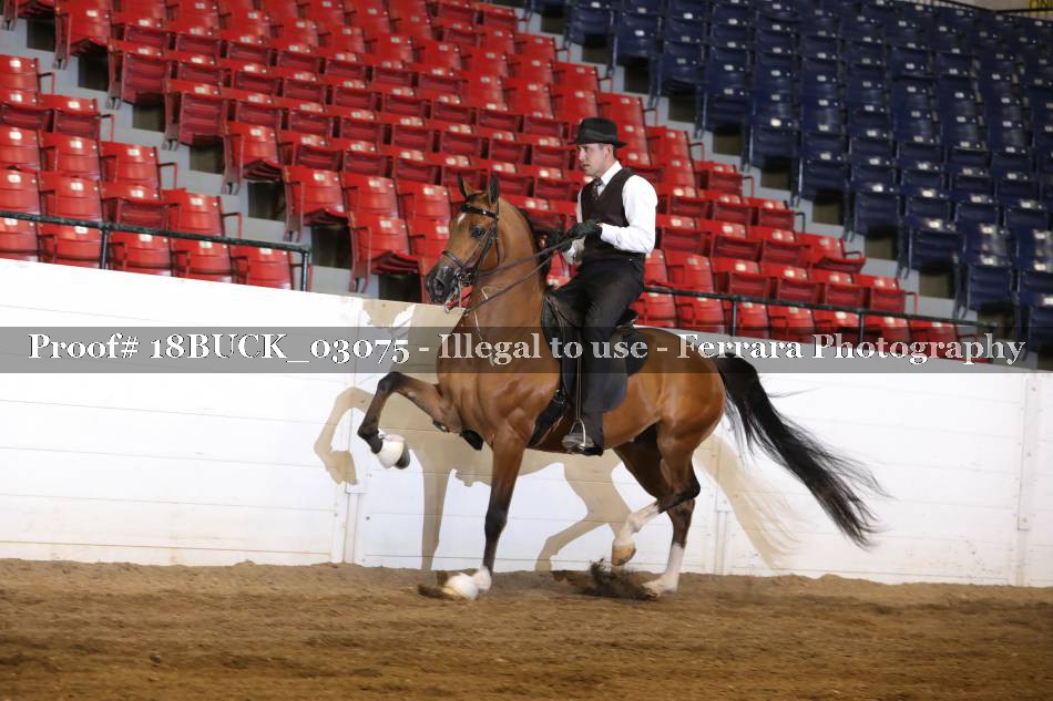 Proof 18BUCK_03075