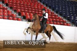 18BUCK_03075 proof