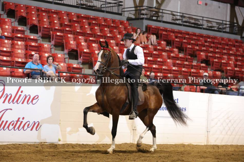 Proof 18BUCK_03076