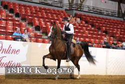 18BUCK_03076 proof