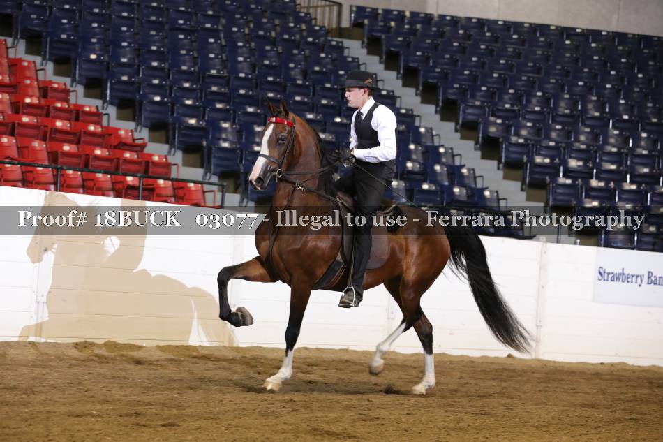 Proof 18BUCK_03077