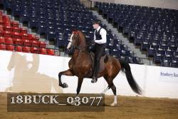 18BUCK_03077 proof