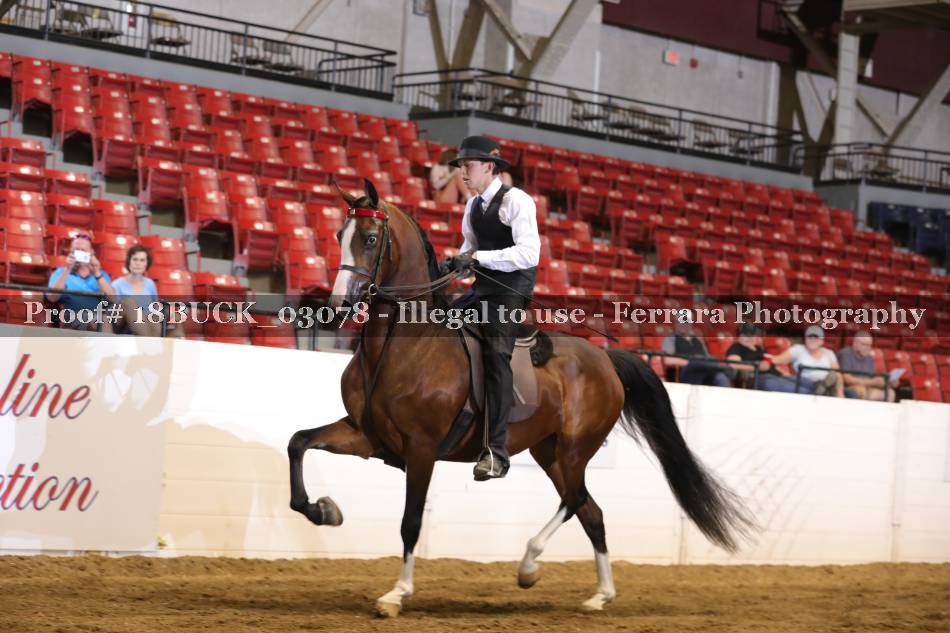 Proof 18BUCK_03078