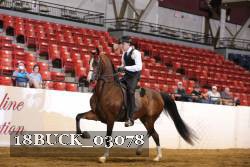 18BUCK_03078 proof